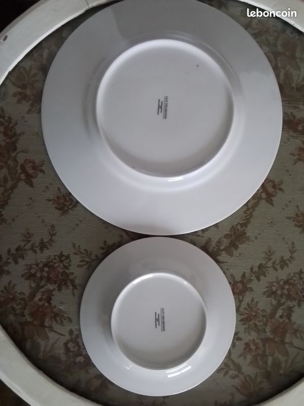 Grandes assiettes Guy DEGRENNE (image 3)