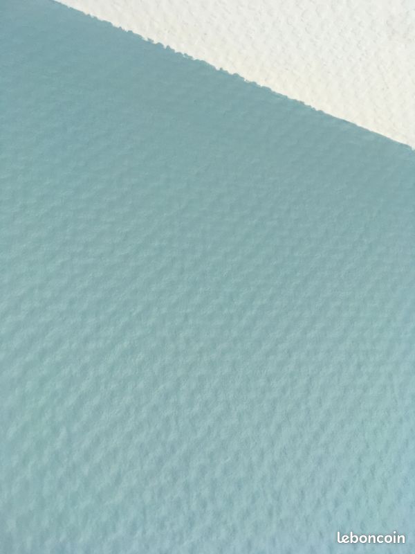 Peinture Levismur 5L bleue clair neuf (image 4)