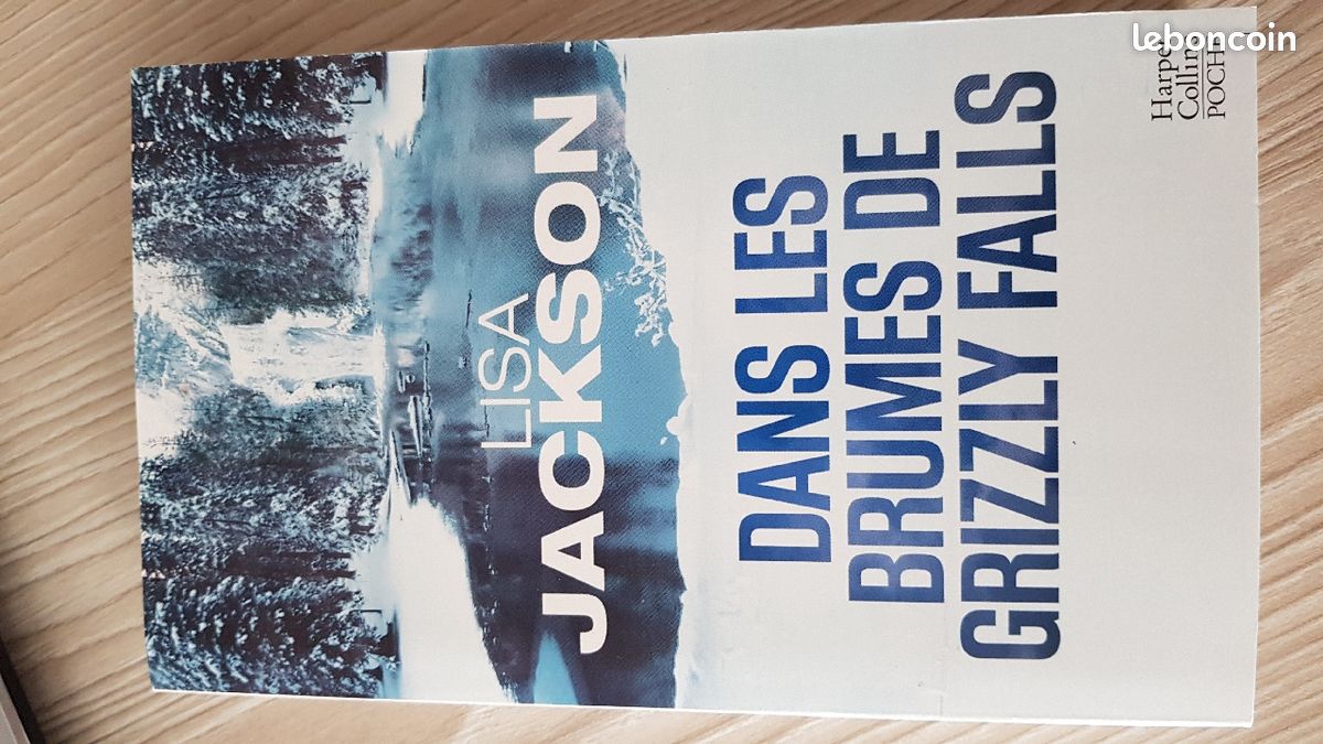 Dans les brumes de Grizzly Falls - Lisa Jackson (image 1)