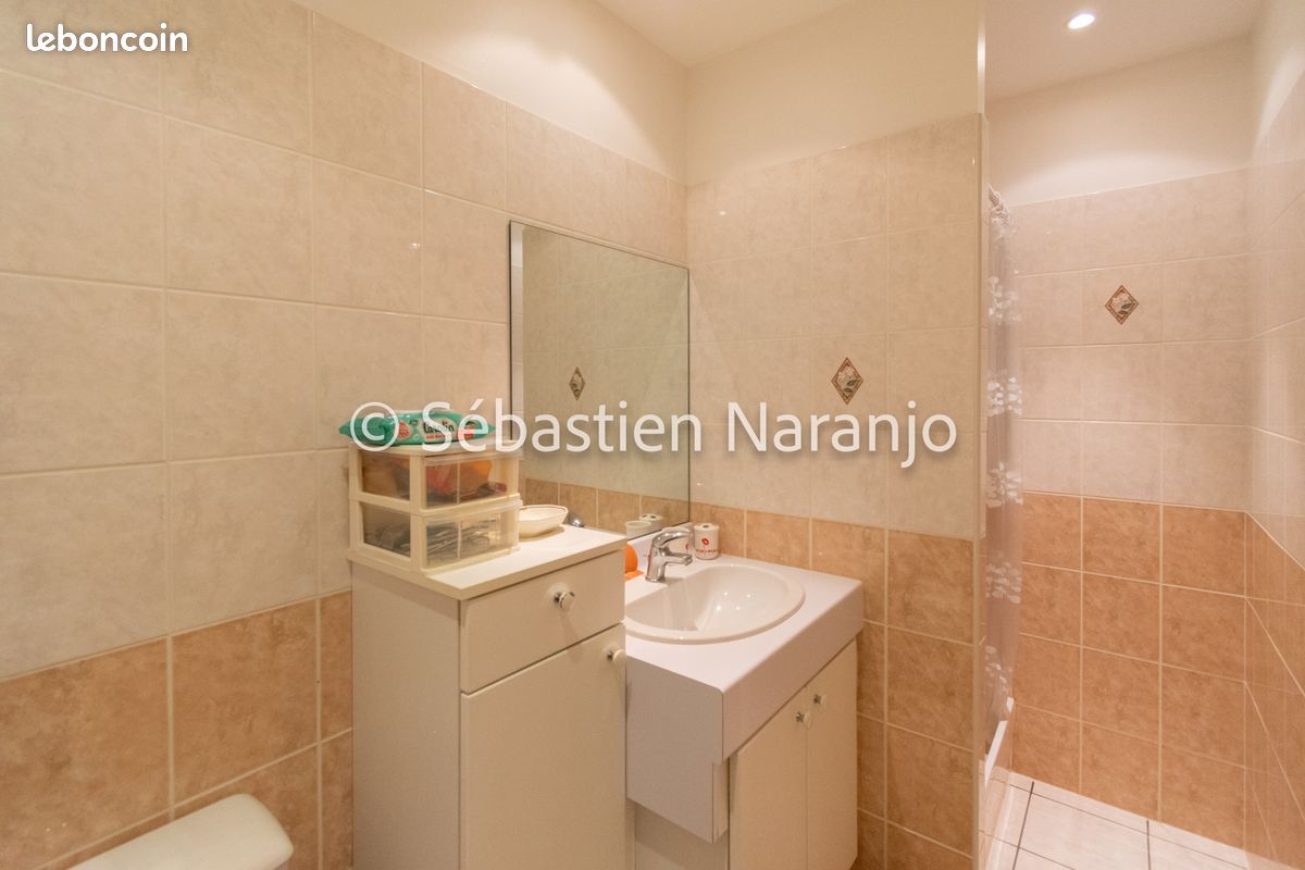 Appartement 5 pièces 131 m² - Limoges 87000 (image principale 7)