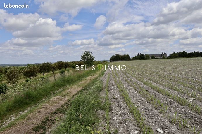 Terrain 241426 m² Faye-la-Vineuse