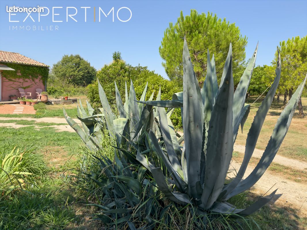 Maison 10 pièces 240 m² · à Villeneuve-lès-Maguelone · 240 m² · 799 000 €