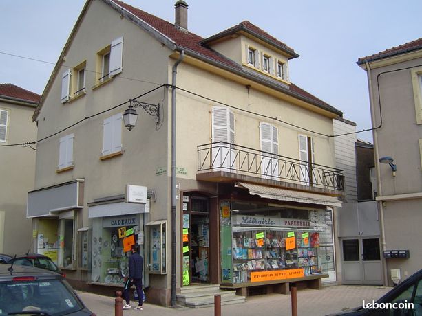 Immeuble avec Local commercial + 2 appartements et caves
