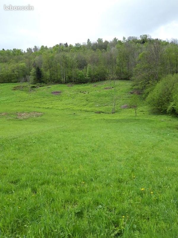 Terrain LA BRESSE · 107 000 €