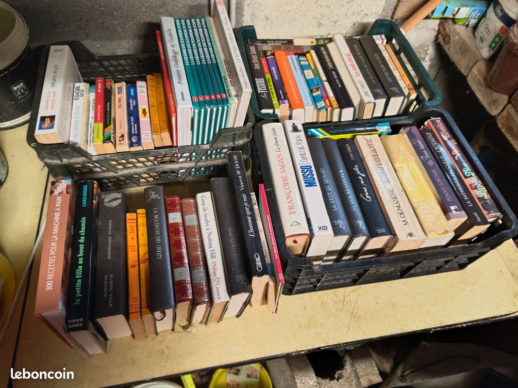 Lot de livres de toute sorte (image 5)