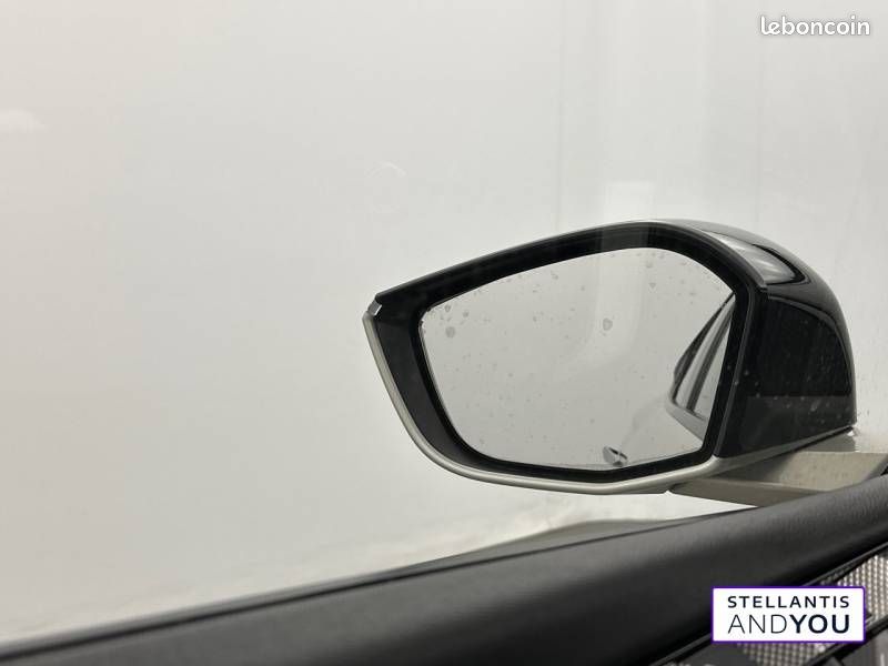 DS 4 Hybride E-Tense 225 EAT8 Rivoli (image 20)