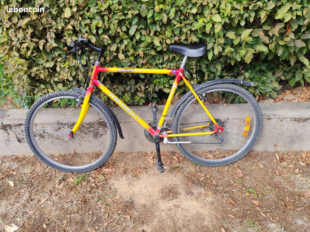 Vélo Homme (image 1)