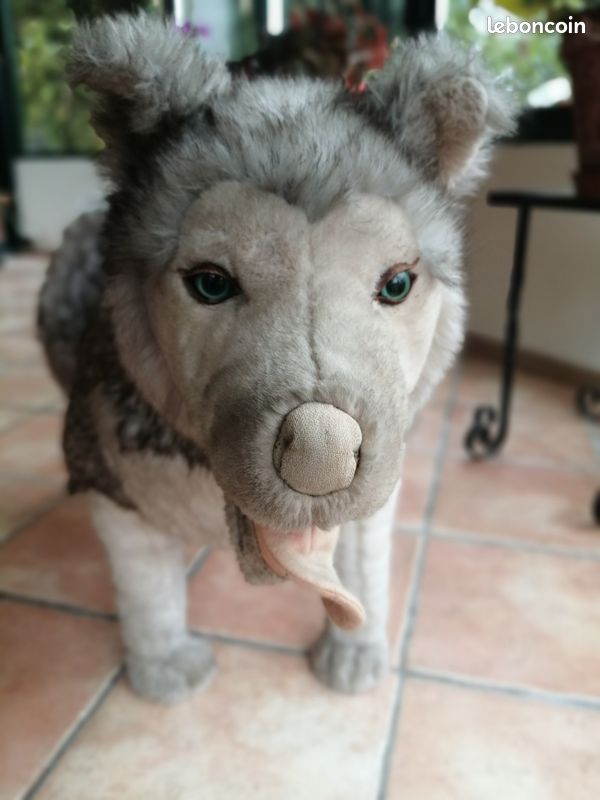 Peluche géante chien husky Jeux Jouets