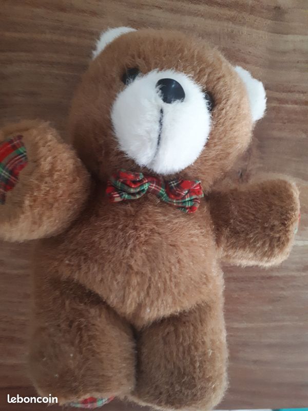 Ourson en peluche (image 1)