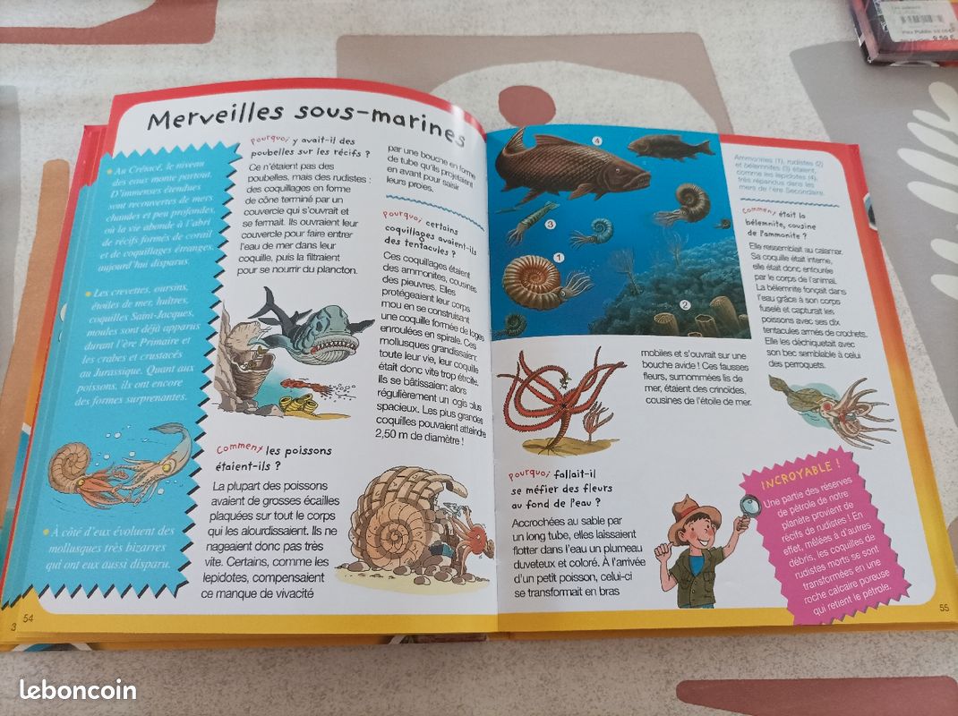 Pourquoi comment (image 3)