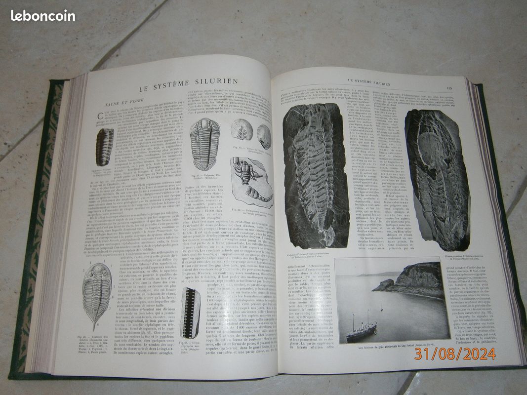 Larousse La terre (image 4)