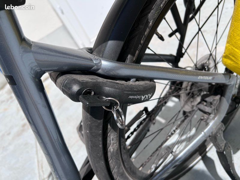 Velo électrique VAE Giant (image 6)