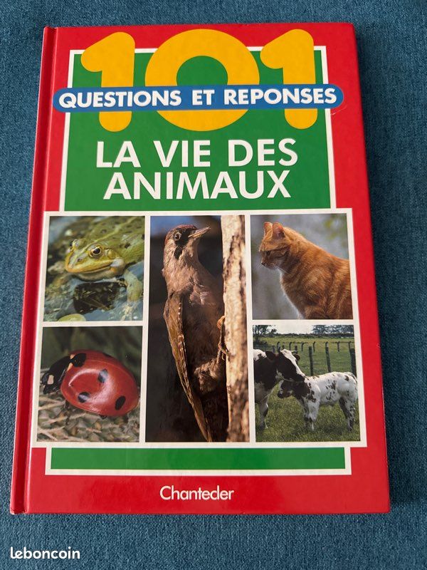 101 questions et réponses (image 2)