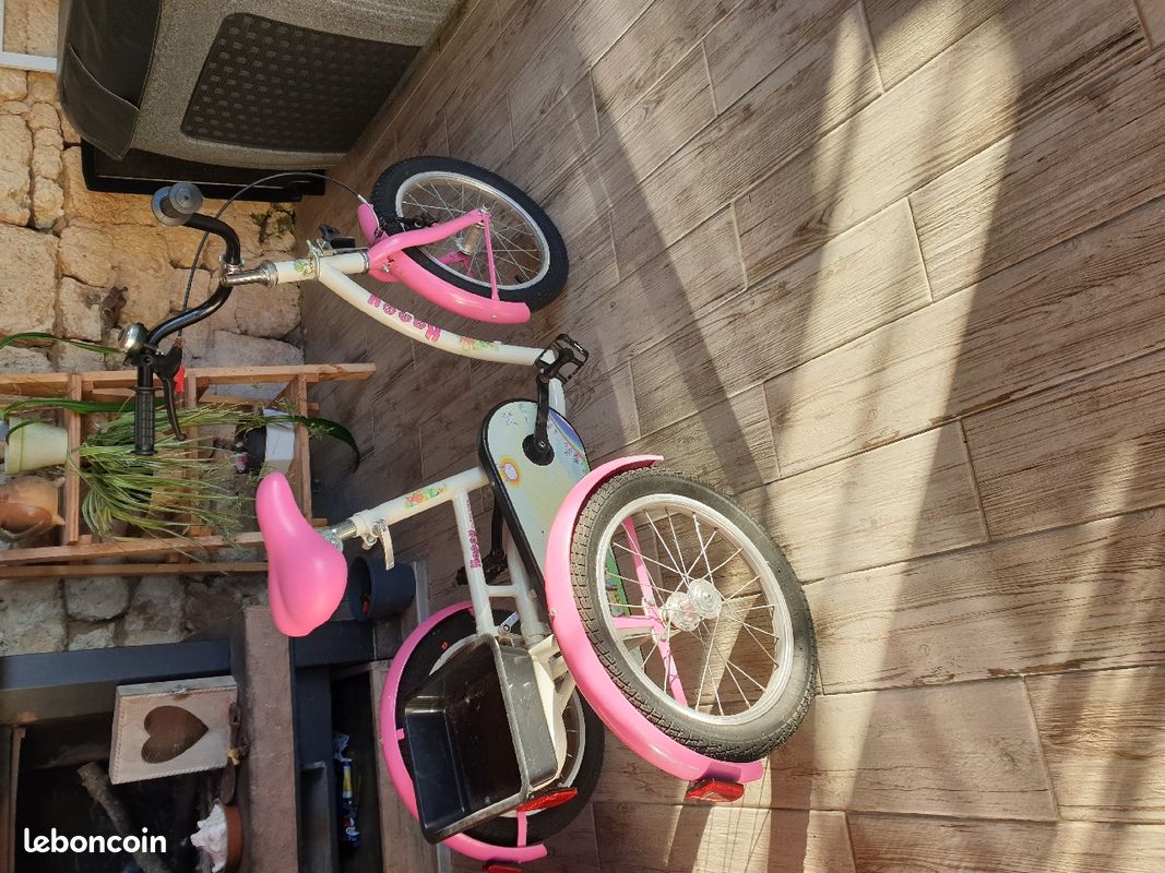 Velo tricycle fille (image 1)