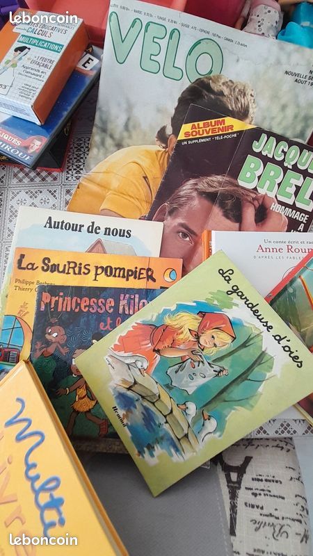Gros lot de jouets, puzzles, livres, Lego, Barbie, micro karaoké, palmes, bottes de neige, jeux Meccano, valise éléphant : tout doit partir (image 16)