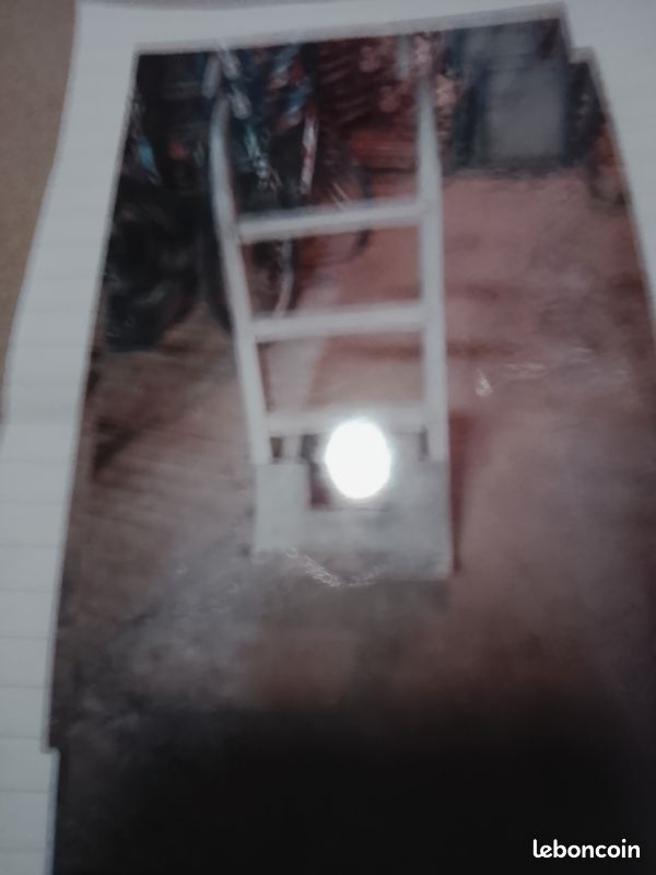 A vendre 1 diable (image 2)