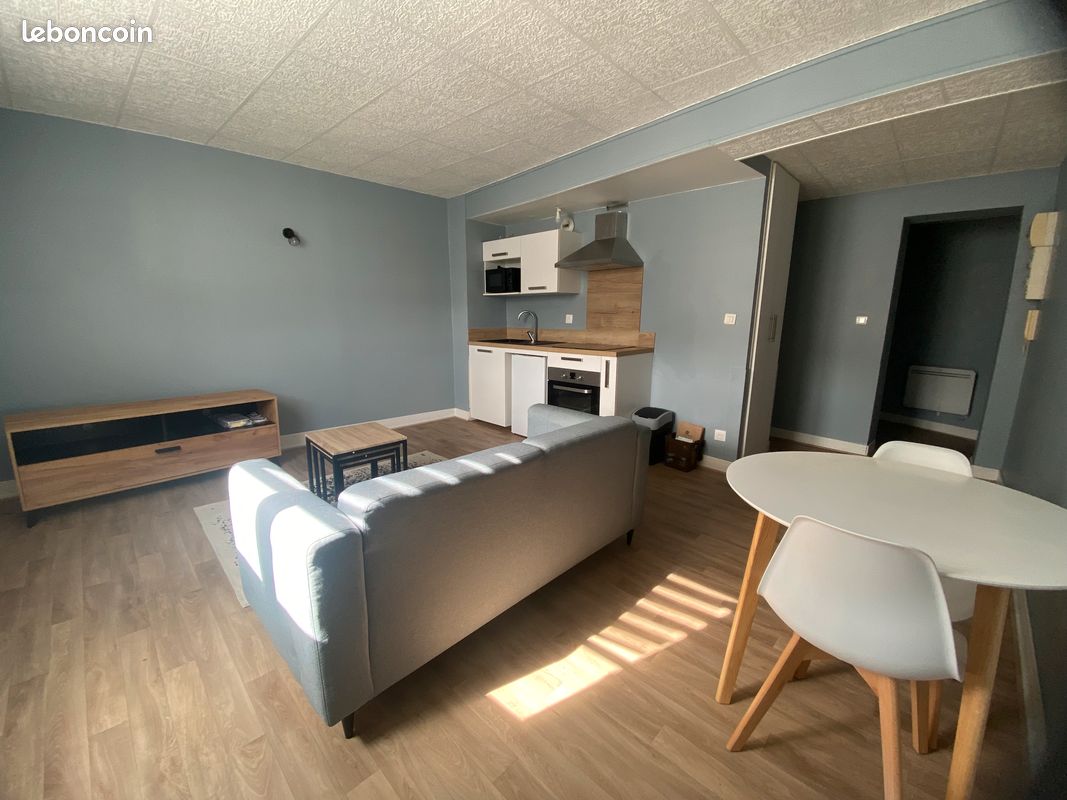 Grand studio centre ville - Limoges 87000 (image principale 0)