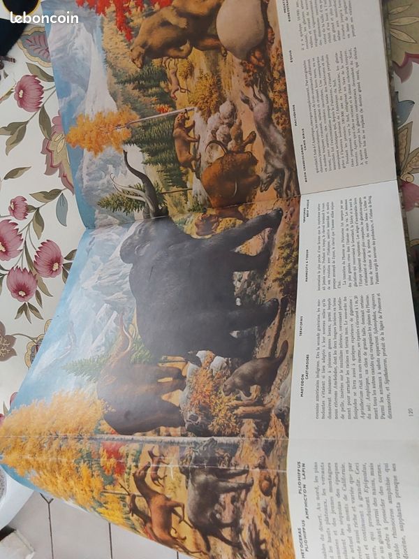 Ce monde ou nous vivons Hachette 1957 (image 2)