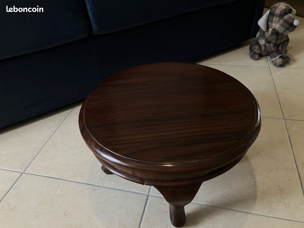 Table basse exotique Japon (image 1)