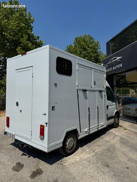 Renault Master VL 2 Chevaux camion chevaux bétaillère van (image 3)
