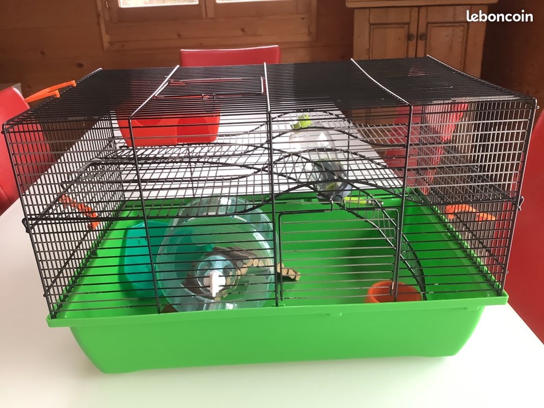 Cage hamster (image 2)