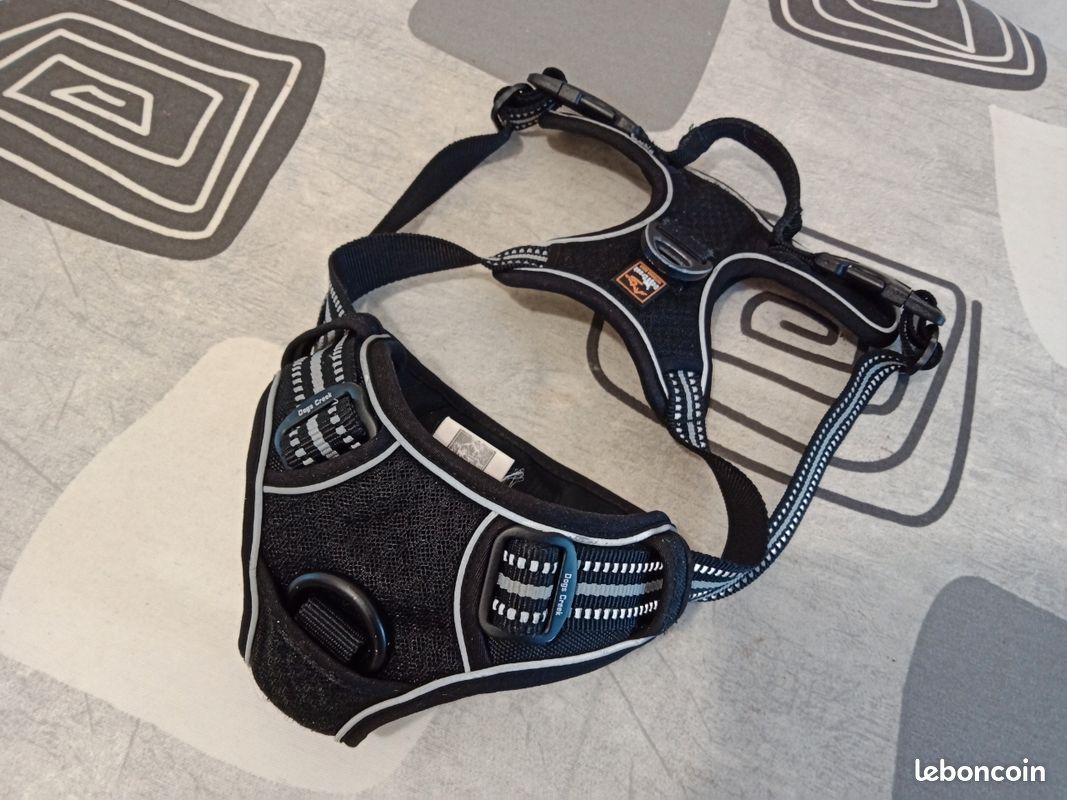 ACCESSOIRES pour CHIENS (image 2)