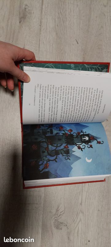 Livre la belle et les bêtes Soman Chainani (image 2)