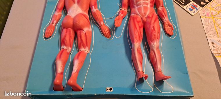 ANCIEN JEU DE société, Jeu Vintage, Jeu éducatif, Anatomie 2000 par CEJI 1970 EUR 25,00 - FR