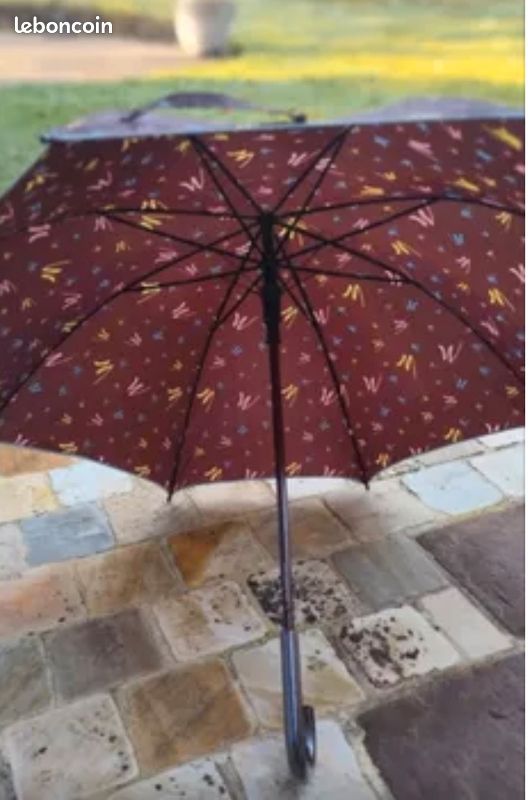 Parapluie (image 2)