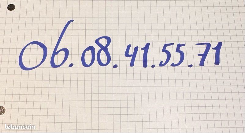 Filtre à cartouche piscine (image 4)
