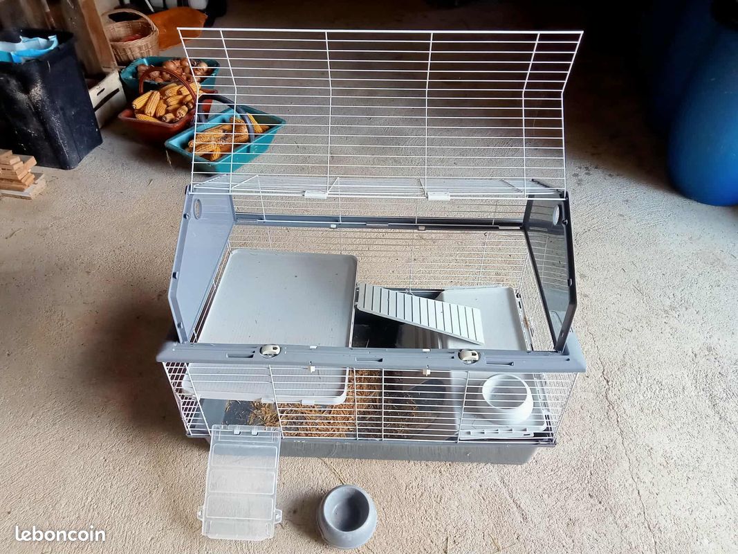 Cage à lapin (image 2)