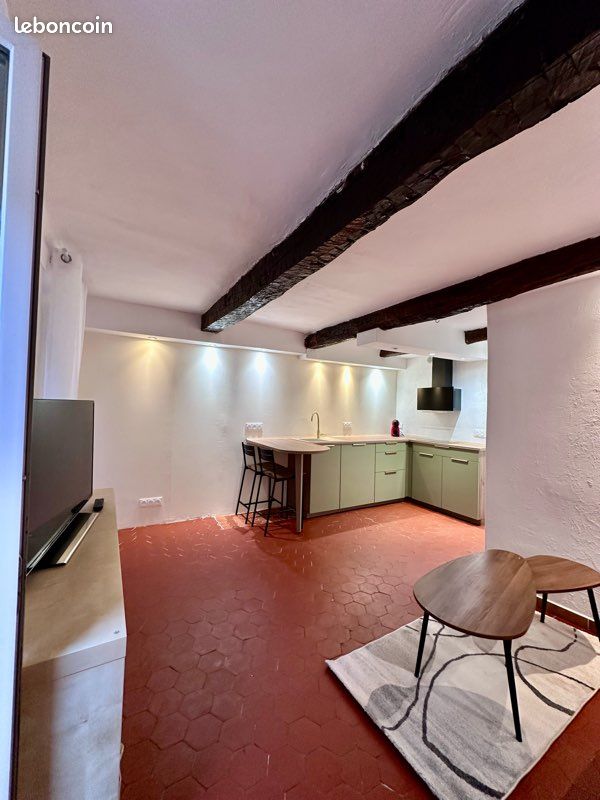 Charmant Studio rénové -21 m2 cœur de Vence (image 3)