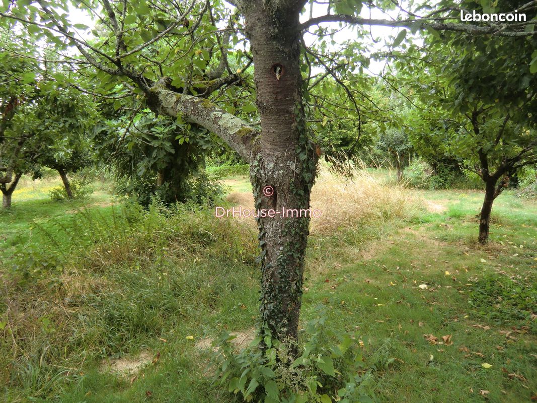 Terrain 1566 m² · à Masseube · 1 566 m² · 29 000 €
