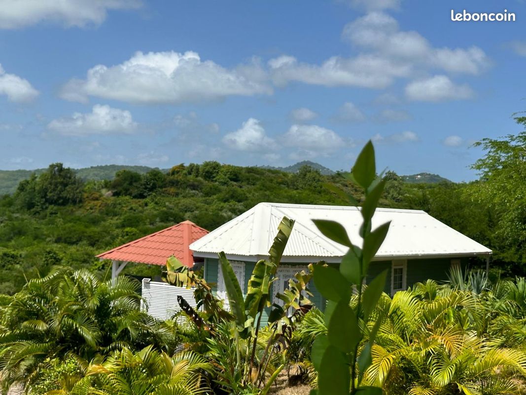Sainte anne- propriete vue mer panoramique 10002m² terrain (image 8)