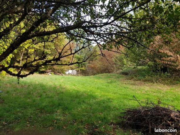 Vente | Terrain | 5499 m² | Queige
