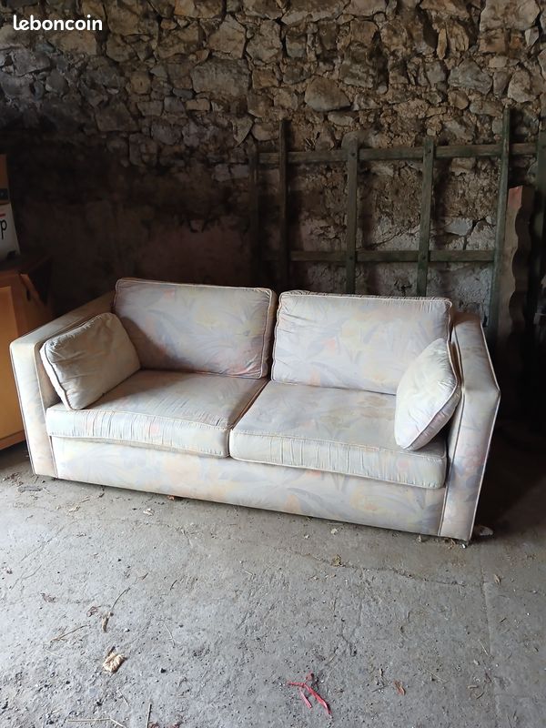 Vends canape 2 places (image 1)