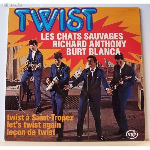 LES CHATS SAUVAGES ,vinyles 33 tours (image 3)