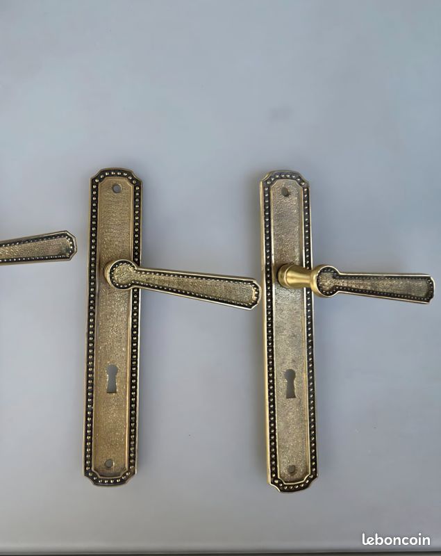 Poignées de porte style ancien en laiton (image 3)