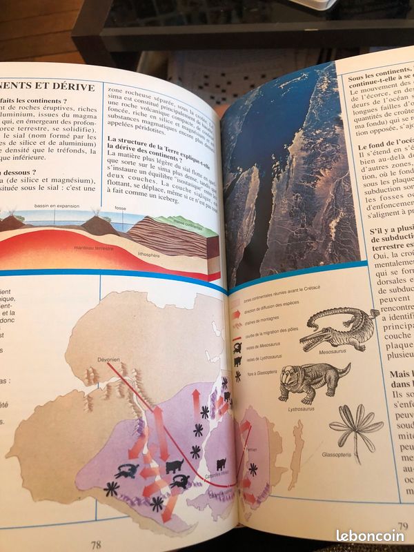 Les animaux de la nature en 666 questions (image 5)