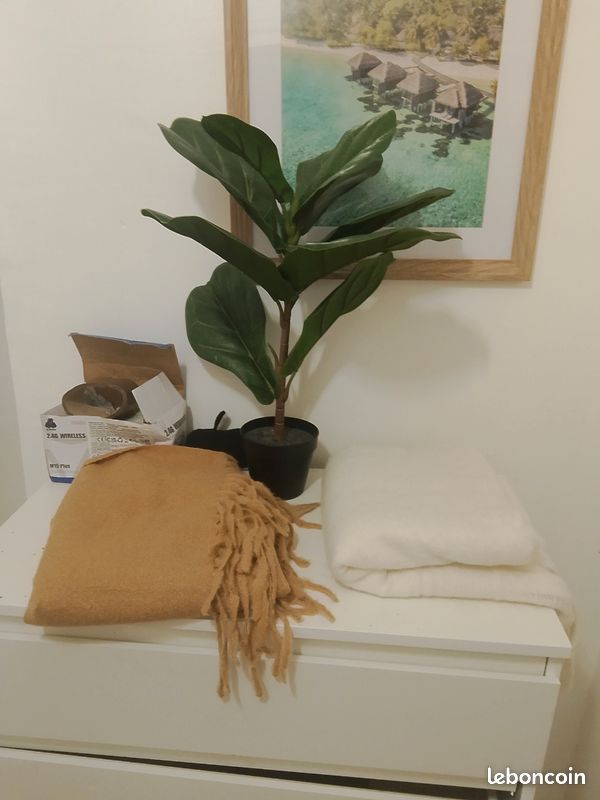 2 Écharpe vente (image 1)