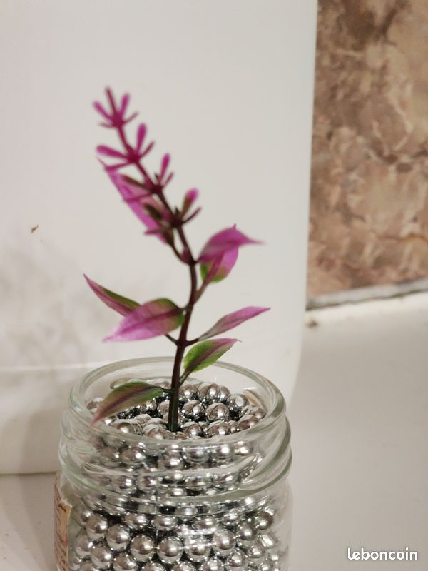 Plante artificielle pour décoration (image 7)
