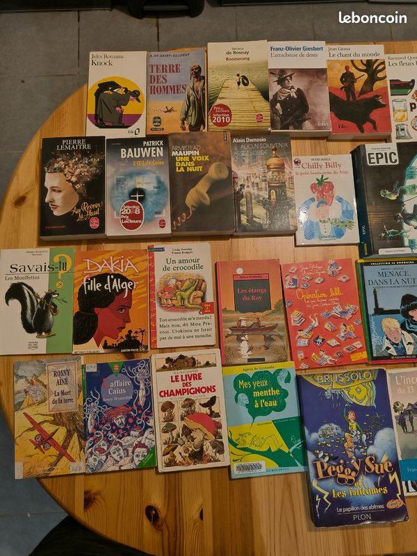 120 livres à choisir dès 5 – Kessel, Romain Gary, Agatha Christie, Fred Vargas… (image 6)