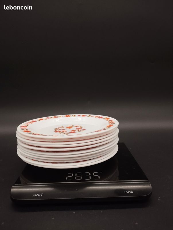 Lot De 11 Assiettes à Dessert Arcopal - Motif Fleurs Rouges Et Roses, Verre Opalin - 19 Cm - Occasion