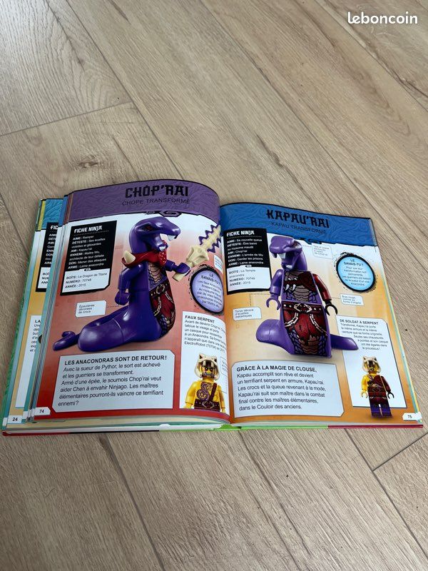Encyclopédie Lego Ninjago Livres