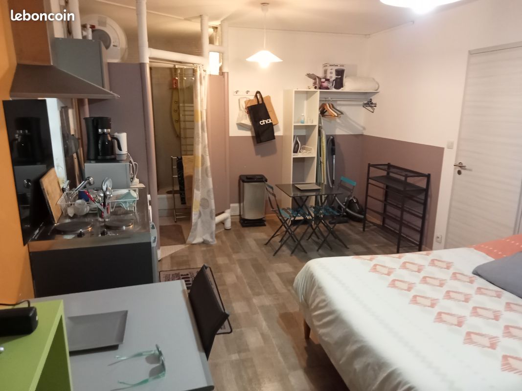 Location charmant studio entièrement meublé avec terrasse - Limoges 87000 Vanteaux-CHU-Mas Bouyol-Puy Rodas (image principale 1)