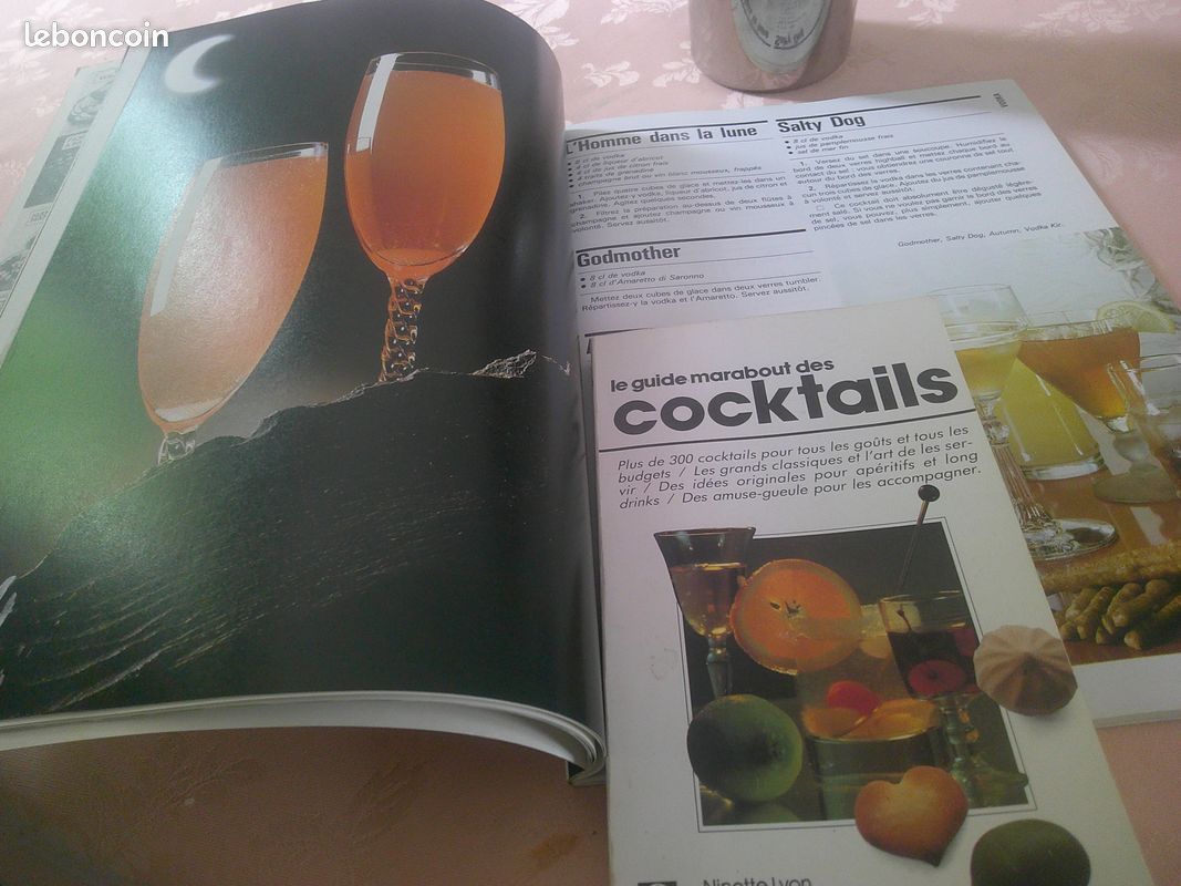 1 shaker 2 livres de recette cocktails 5 verres a pied (image 5)