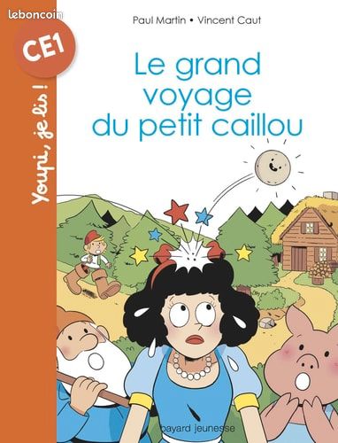 Livre "Le grand voyage du petit cailloux (image 1)