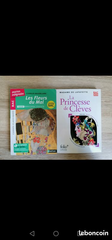 Lot de livres du nouveau bac (image 1)