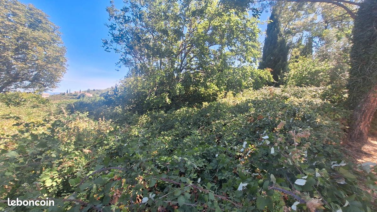 Terrain 650 m² · à Tulette · 650 m² · 110 000 €