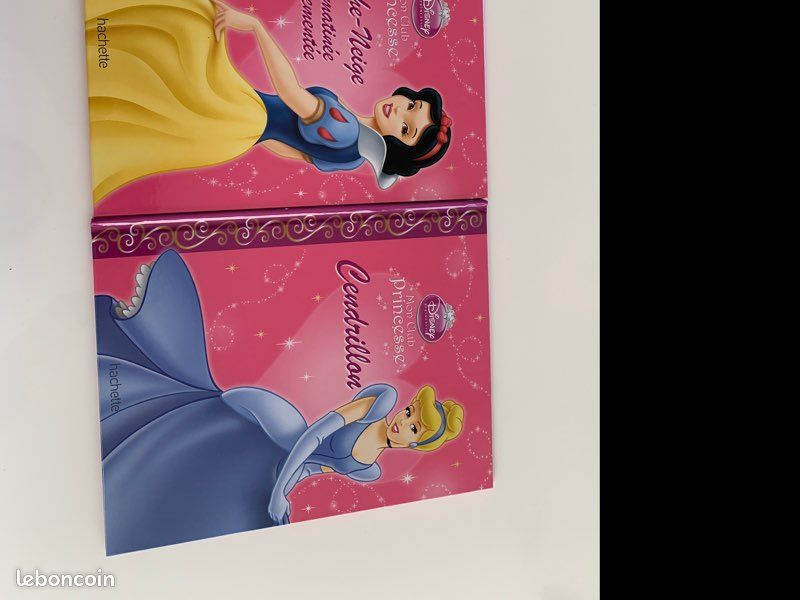 Livre Disney ( mon club princesse ) (image 1)
